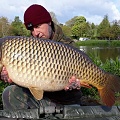 HERE IS ANDY GOODALL WITH A 29LB MILLBROOK COMMON.